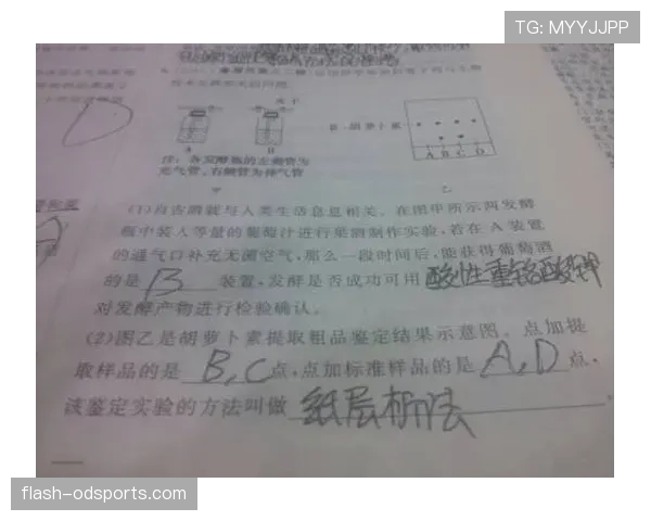弃权规则：判定条件与赛果处理细则